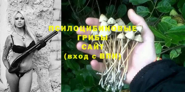 мяу мяу мука Беломорск