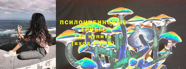 мяу мяу мука Беломорск