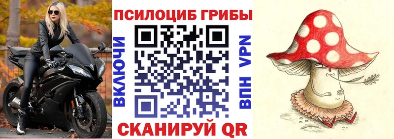 Галлюциногенные грибы ЛСД закладка Санкт-Петербург